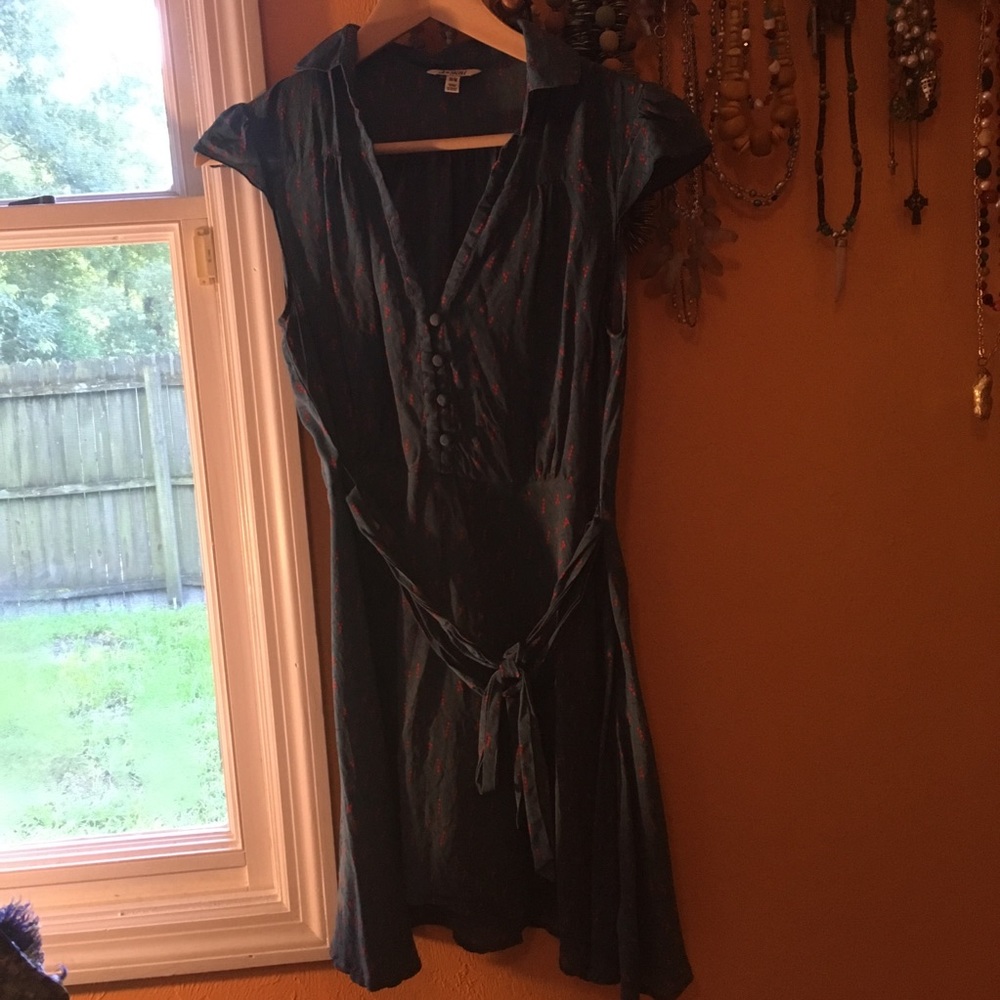 Silk Dress with a Little Belt